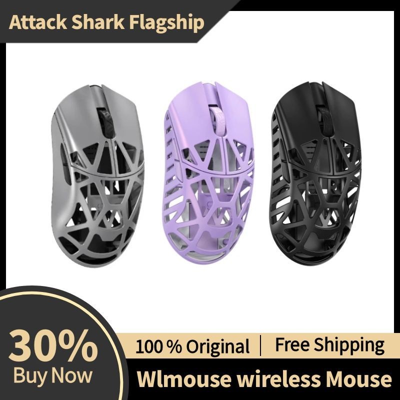 Wlmouse Beast X Mini Pro Magne - Gaming Accessories Online recension och pris